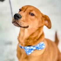 Thumbnail photo of Toast #3