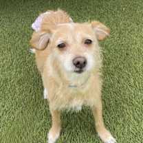 Thumbnail photo of Maude #2