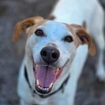 Thumbnail photo of Danny #4