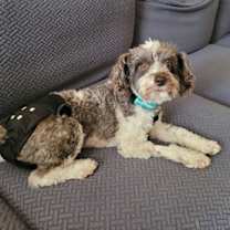 Thumbnail photo of Gaia #1