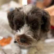 Thumbnail photo of Gaia #2