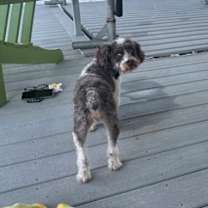 Thumbnail photo of Gaia #3