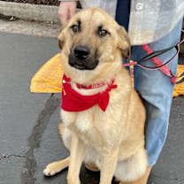 Thumbnail photo of Mikey #2