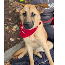 Thumbnail photo of Mikey #3