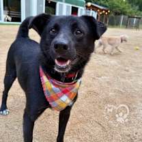 Thumbnail photo of Kongi - NYC!!! #4