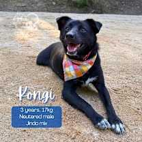 Thumbnail photo of Kongi - NYC!!! #1