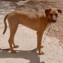 Thumbnail photo of Kailani #1