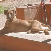 Thumbnail photo of Kailani #2