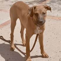 Thumbnail photo of Kailani #3