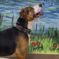 Thumbnail photo of RuPaw #3