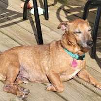 Thumbnail photo of Frederick #4