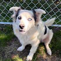 Thumbnail photo of Coco #1