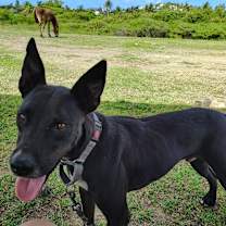 Thumbnail photo of Max #1