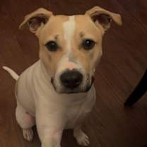 Thumbnail photo of Emi #1