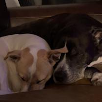 Thumbnail photo of Emi #3