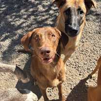 Thumbnail photo of Wrigley #1