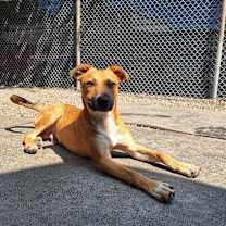 Thumbnail photo of Zoli #2