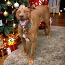 Thumbnail photo of Micah #1