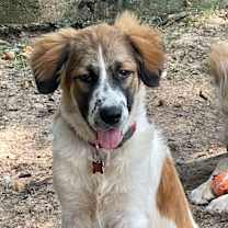 Thumbnail photo of Loverboy #1