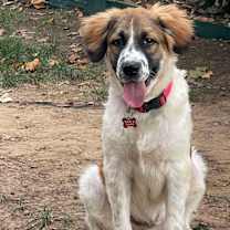 Thumbnail photo of Loverboy #2