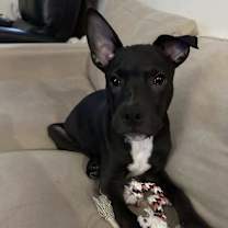 Thumbnail photo of Rhymes #2