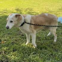 Thumbnail photo of Marge And Homer #4