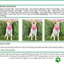 Thumbnail photo of Sassy #1