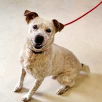 Thumbnail photo of Nubby #3