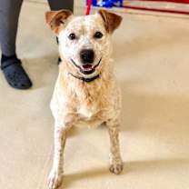 Thumbnail photo of Nubby #4