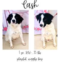 Thumbnail photo of Cash #1