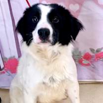 Thumbnail photo of Cash #2