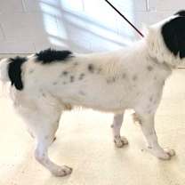 Thumbnail photo of Cash #3