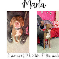 Thumbnail photo of Marta #1