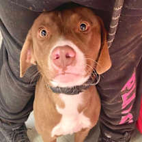 Thumbnail photo of Marta #2