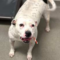 Thumbnail photo of Hillary #4