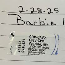 Thumbnail photo of Barbie #3