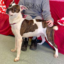 Thumbnail photo of Bo #3