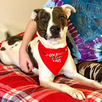 Thumbnail photo of Bo #4