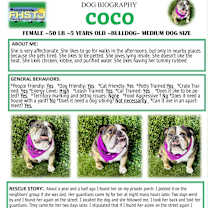 Thumbnail photo of Coco #1