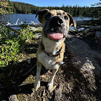 Thumbnail photo of RJ #2