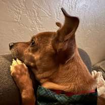 Thumbnail photo of Gucci #3