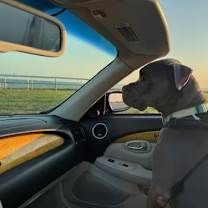 Thumbnail photo of C44-25 Roscoe #2