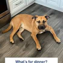 Thumbnail photo of Weston #2