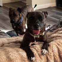 Thumbnail photo of Kaia #2