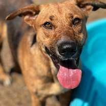 Thumbnail photo of Lizzy #4