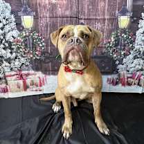 Thumbnail photo of Hank #2