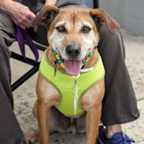 Thumbnail photo of JellyRoll #1