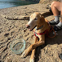 Thumbnail photo of Brason #3