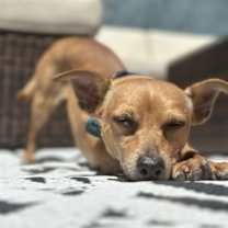 Thumbnail photo of Gucci #4