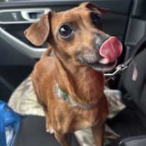 Thumbnail photo of Maui #1